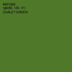 #507829 - Chalet Green Color Image